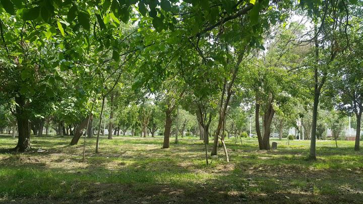 بهترین پارک های کرج را می شناسید؟ | معرفی ۲۰ پارک خوب کرج