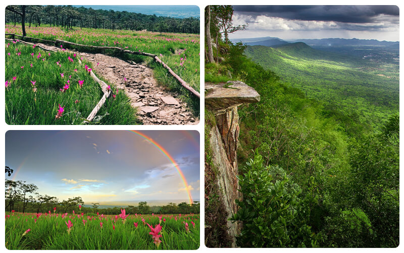 پارک های ملی کشور تایلند
