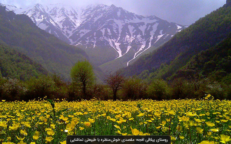 دشت هویج افجه لواسان؛ ییلاقی خوش آب و هوا در ارتفاعات تهران