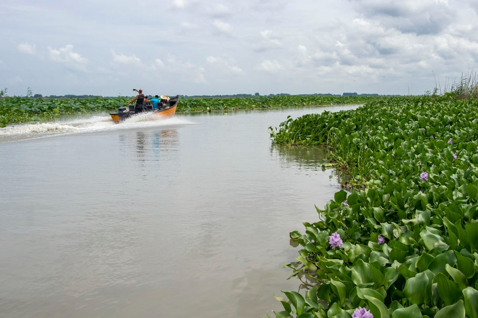 پارک جنگلی اشبلا یا اشپلا | راهنمای مسیریابی و سفر به اشبلا