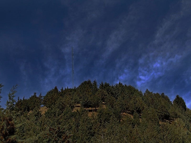 پارک جنگلی غزال یا بوستان جنگلی تلو کجاست؟