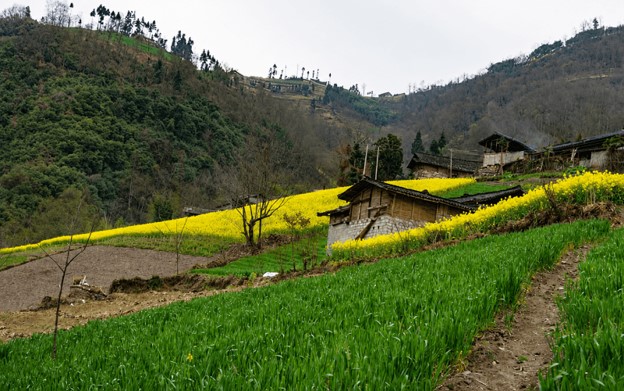 روستای زرگر قزوین کجاست؟ سفر به روستای اروپایی ایران
