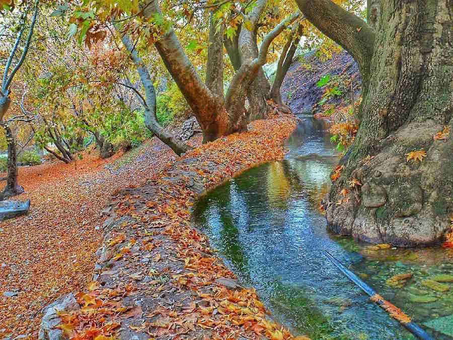 سراب گیان کجاست؟ | چشمه پر آب غرب کشور