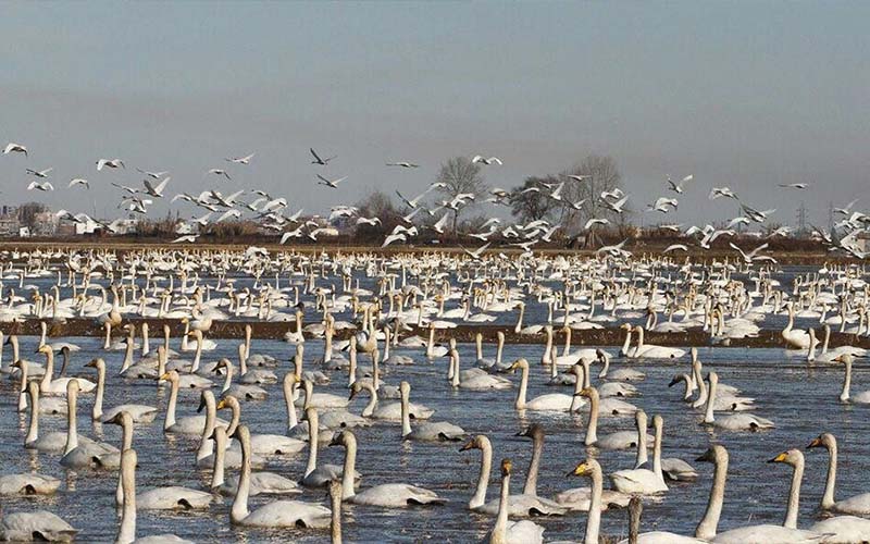 سرخرود مازندران کجاست؟ مسیر، دیدنی‌ها و بهترین زمان سفر
