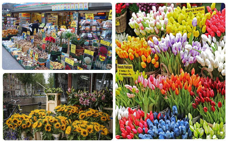 بازار گل بلومن آمستردام