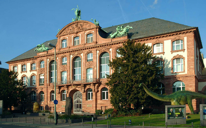 موزه تاریخ طبیعی سنکنبرگ فرانکفورت