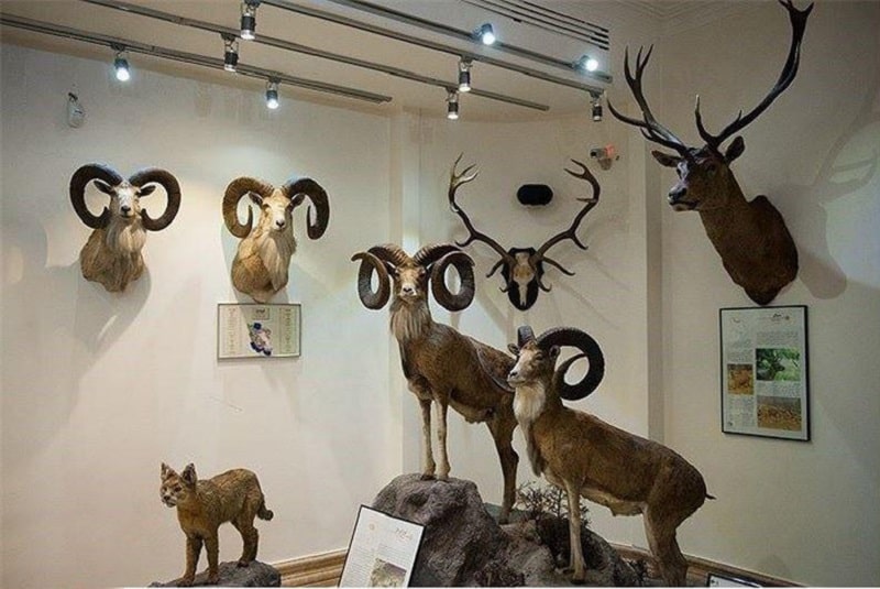 بهترین موزه های تبریز | ۲۴ موزه تبریز را بشناسید