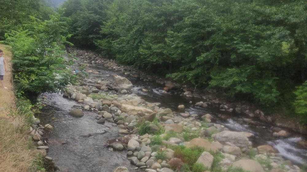 جاهای دیدنی رودسر از طبیعت تا مکان های تاریخی رودسر