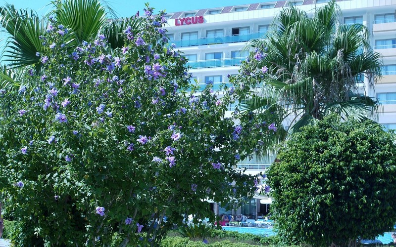 هتل Lycus Beach Hotel Alanya