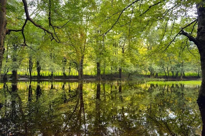 پارک جنگلی اشبلا یا اشپلا | راهنمای مسیریابی و سفر به اشبلا