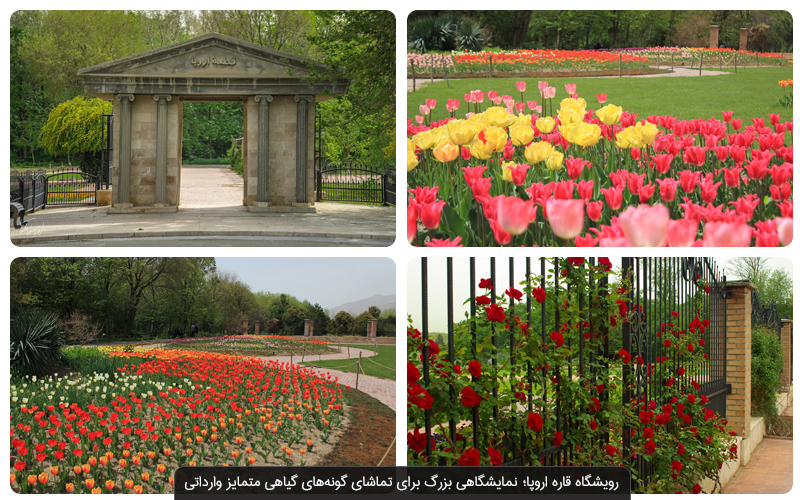 از باغ گیاه شناسی ملی ایران چه می‌دانید؟