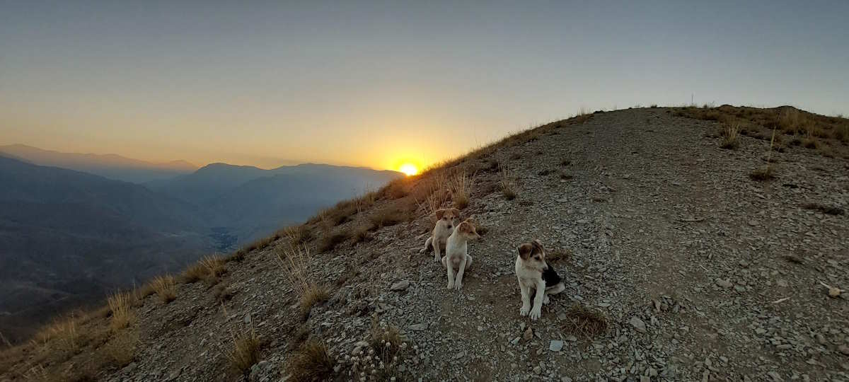 بهترین پارک های کرج را می شناسید؟ | معرفی ۲۰ پارک خوب کرج