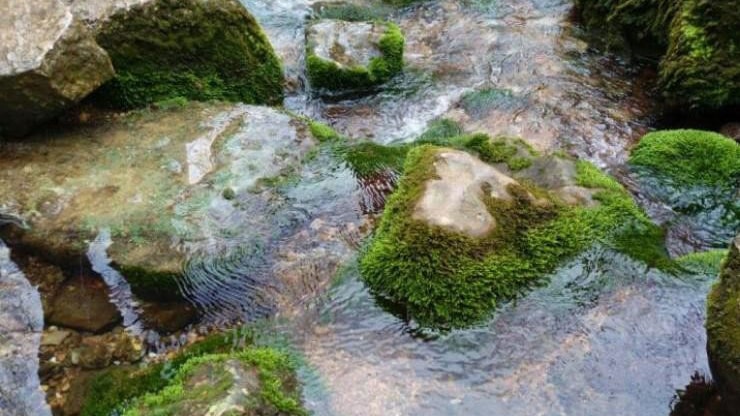 جاهای دیدنی رودسر از طبیعت تا مکان های تاریخی رودسر