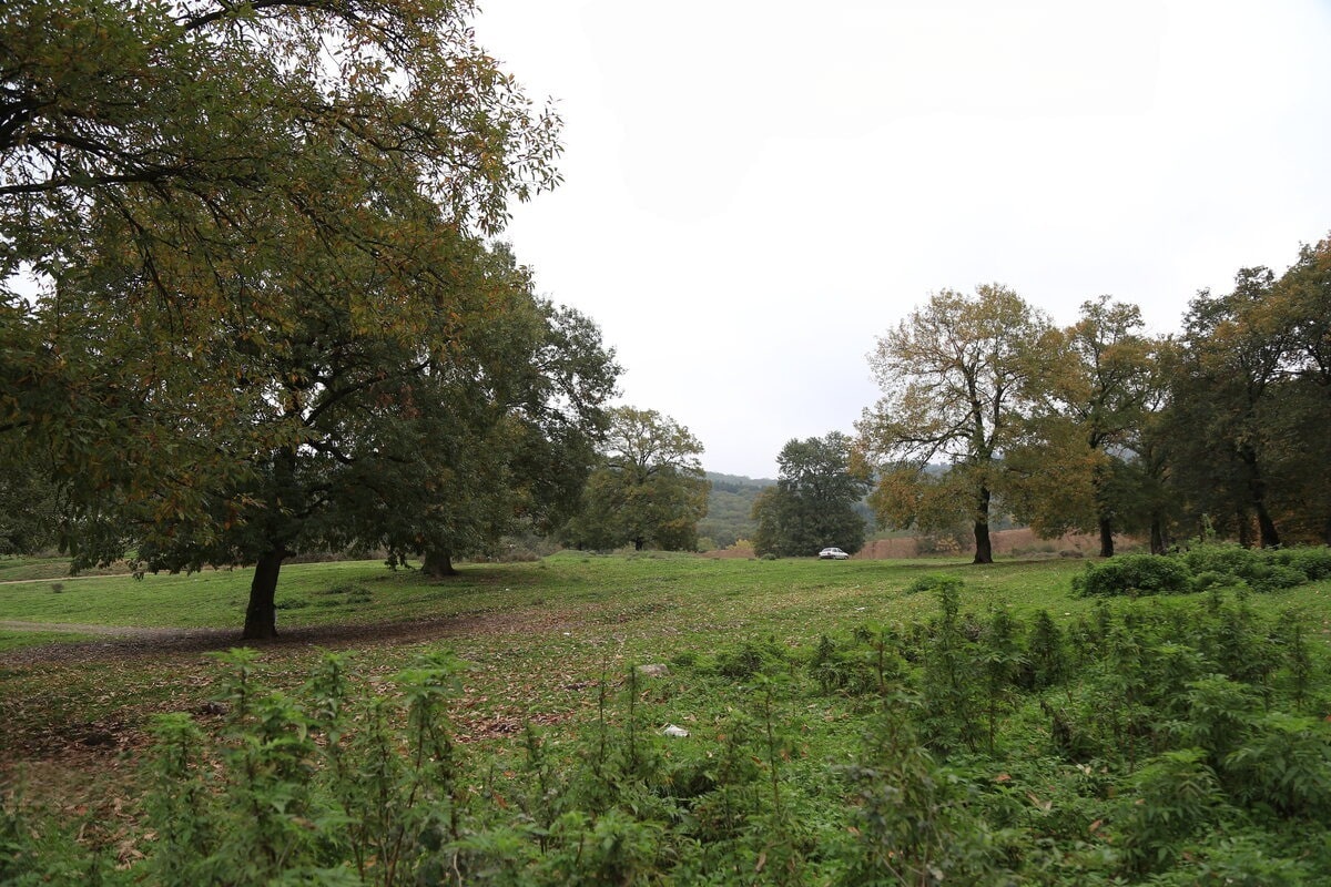 دریاچه توشن گرگان کجاست؟ | زیستگاه پرندگان مهاجر