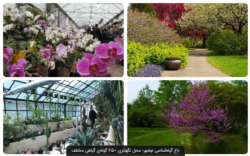 باغ گیاه‌ شناسی نوشهر