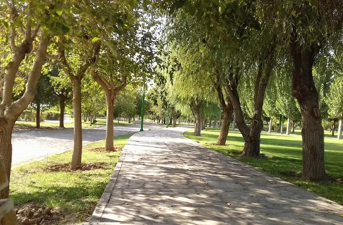 معرفی بهترین پارک های جنگلی تهران