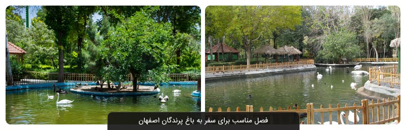 باغ پرندگان اصفهان | معرفی کامل به همراه نشانی و تصاویر  