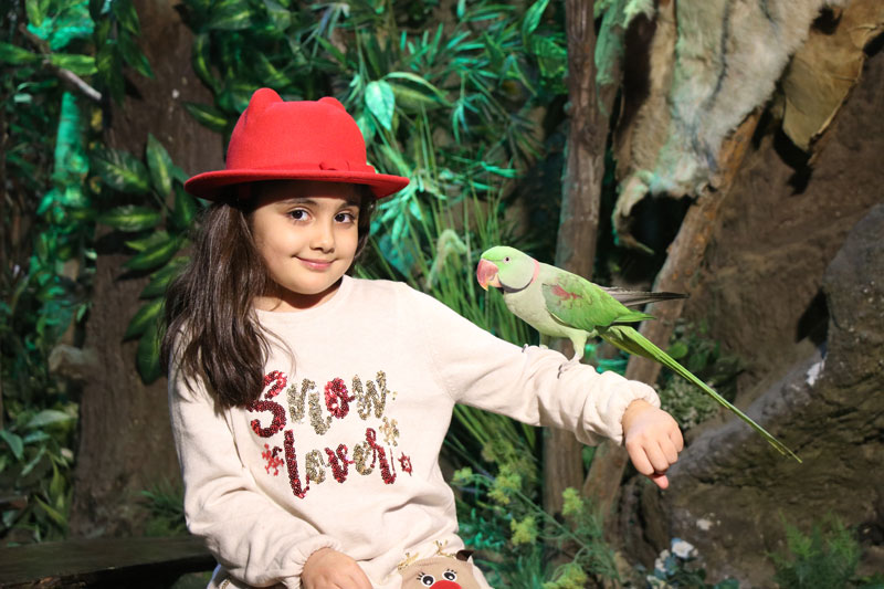 پارک ژوراسیک تهران کجاست؟ | سفر به دنیای ماقبل تاریخ