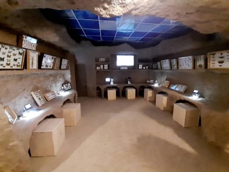 پارک ژوراسیک تهران کجاست؟ | سفر به دنیای ماقبل تاریخ