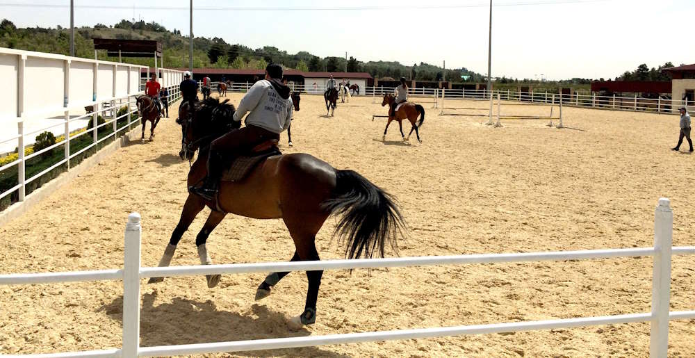 پارک چیتگر چه امکانات تفریحی دارد؟ + مسیر دسترسی