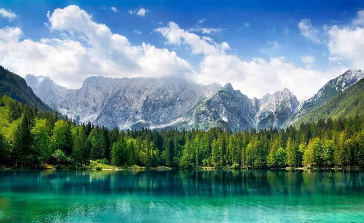 دریاچه توشن گرگان کجاست؟ | زیستگاه پرندگان مهاجر