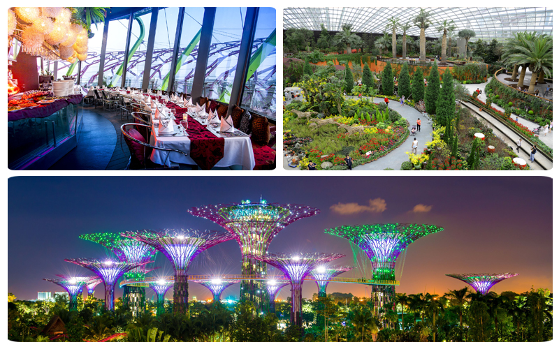 باغ خلیج سنگاپور
