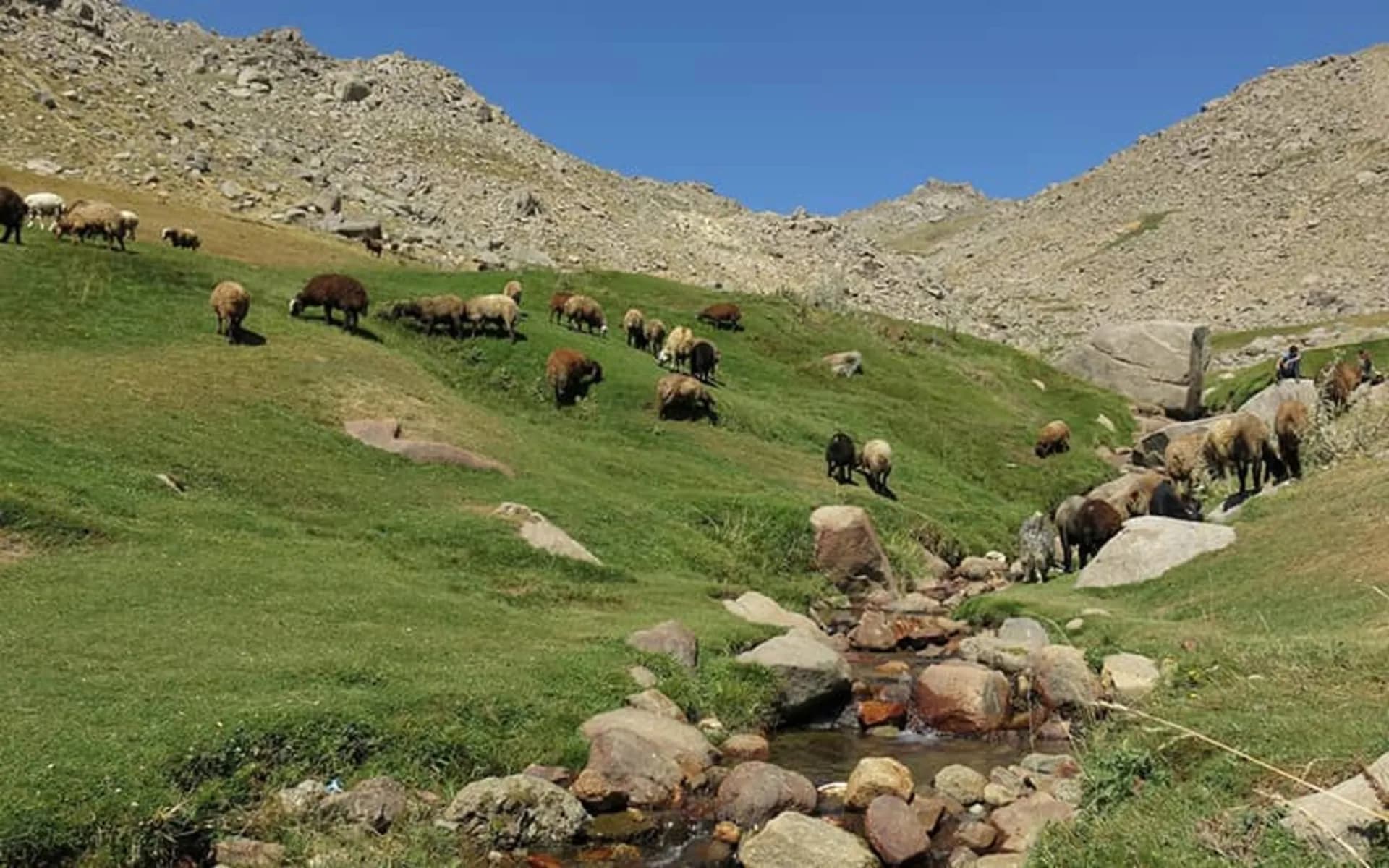 دشت میشان کجاست؟ | مسیر دسترسی و تفریحات میدان میشان