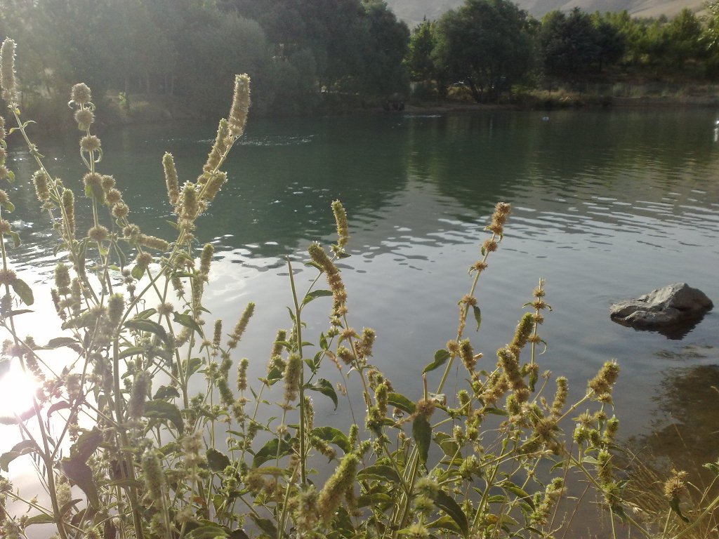 سراب گاماسیاب کجاست؟ | چشمه جوشان نهاوند