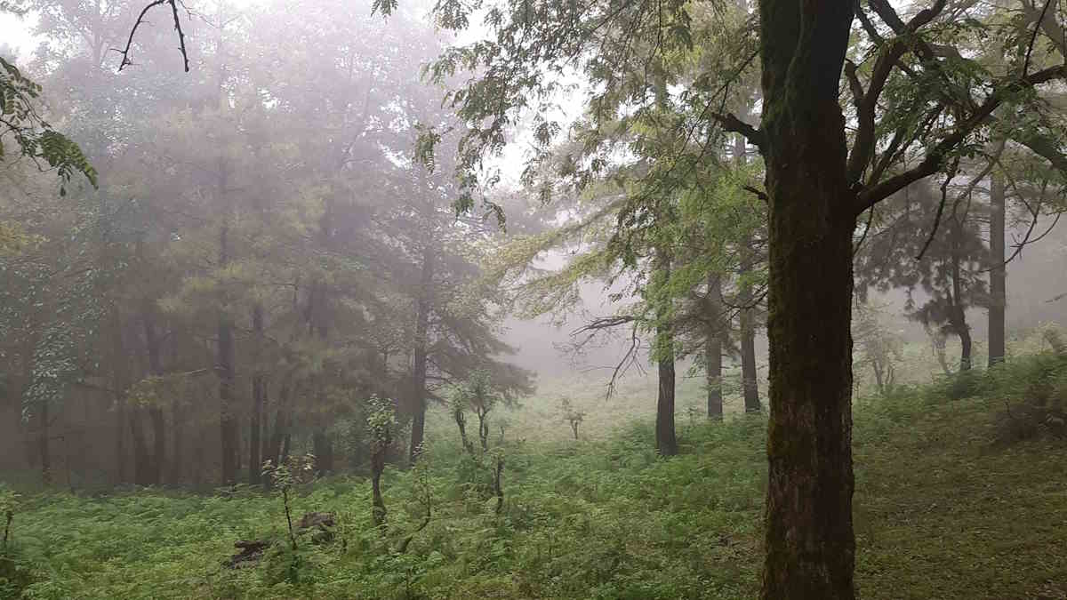 جاهای دیدنی چابکسر | جایی که ارتفاعات و دریا به هم می رسند