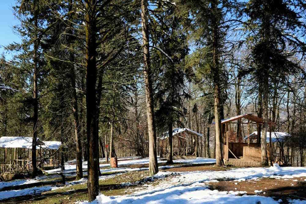 دریاچه لفور کجاست؟