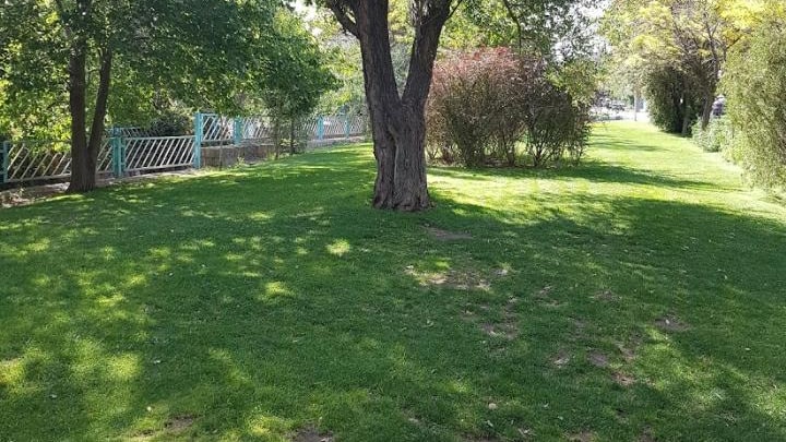 معرفی بهترین پارک های تبریز | پارک های تاریخی تا بوستان های جنگلی تبریز