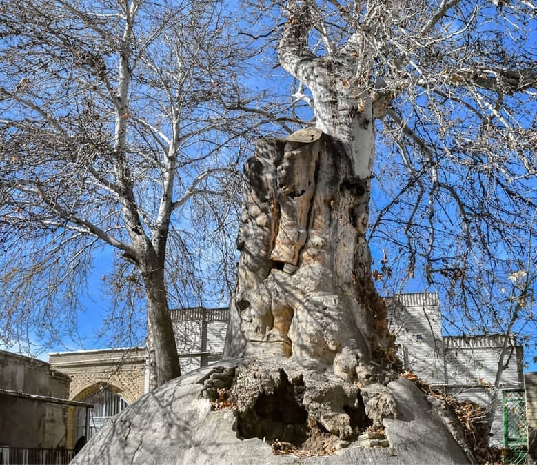 ۲۳ جای دیدنی تویسرکان | بهشت سرسبز غرب