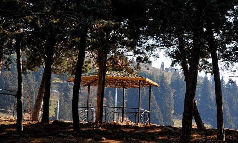 پارک سرخه حصار کجاست و چه امکانات تفریحی دارد؟