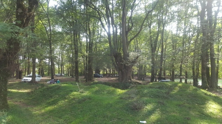 پارک جنگلی اشبلا یا اشپلا | راهنمای مسیریابی و سفر به اشبلا