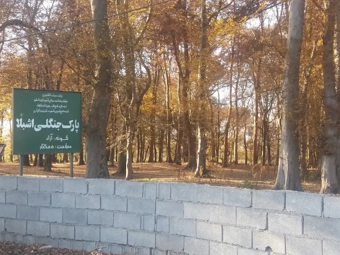 پارک جنگلی اشبلا یا اشپلا | راهنمای مسیریابی و سفر به اشبلا