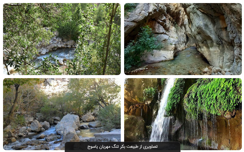 جاهای دیدنی یاسوج؛ بازدید از دیدنی‌ترین جاذبه‌های گردشگری پایتخت طبیعت ایران