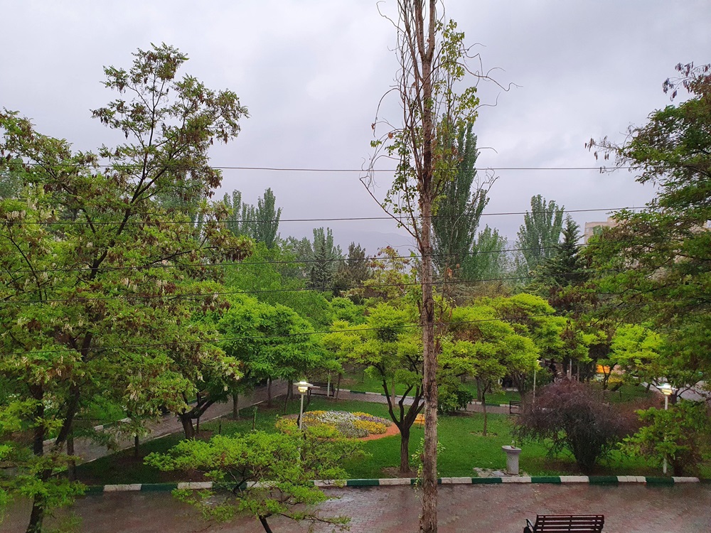 معرفی بهترین پارک های تبریز | پارک های تاریخی تا بوستان های جنگلی تبریز
