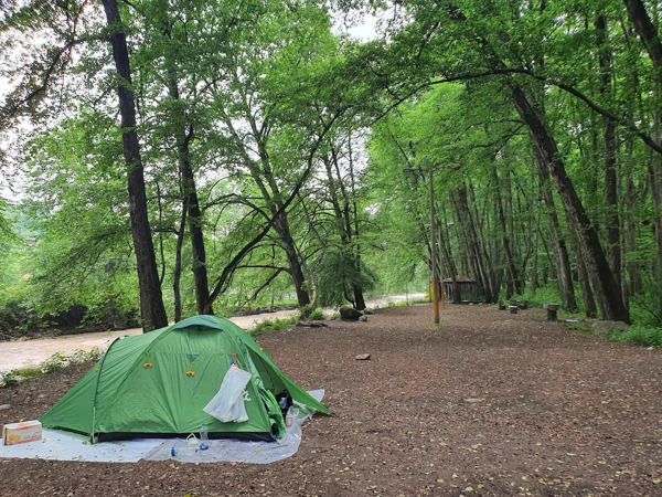 پارک جنگلی فین چالوس کجاست؟