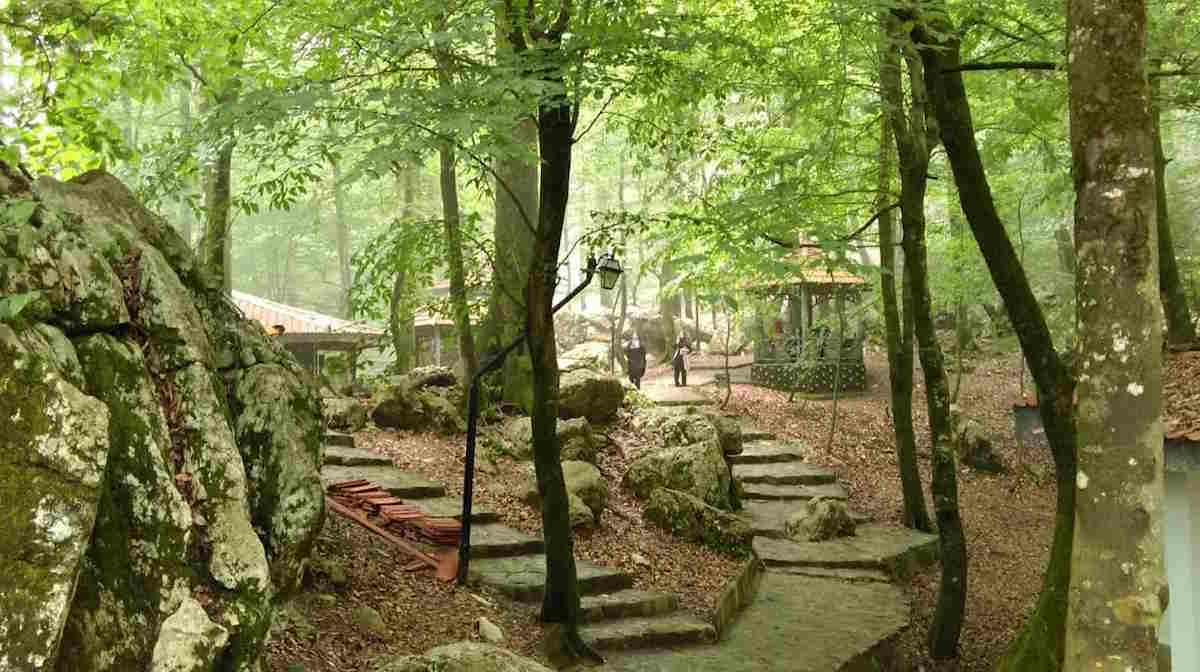 تله کابین نمک آبرود