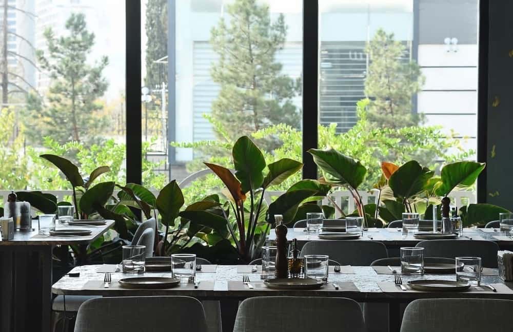 بهترین کافه های شهرک غرب 