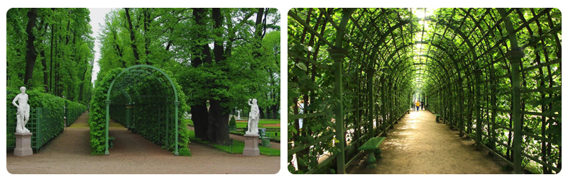 باغ تابستانی سن پترزبورگ