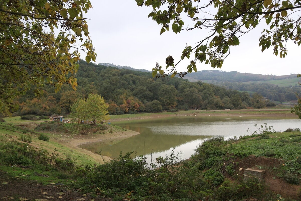 دریاچه توشن گرگان کجاست؟ | زیستگاه پرندگان مهاجر