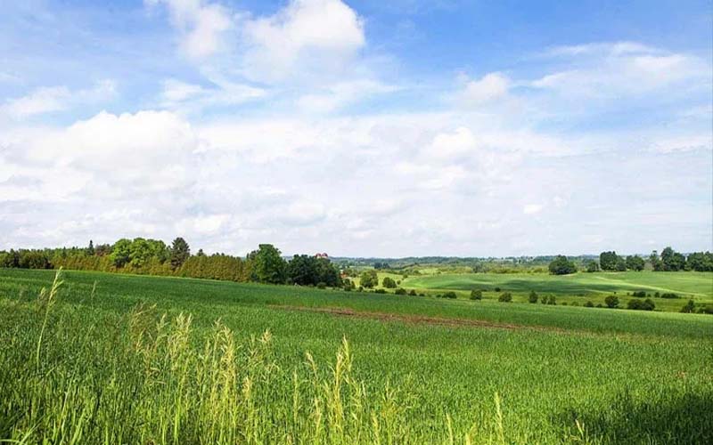 سرخرود مازندران کجاست؟ مسیر، دیدنی‌ها و بهترین زمان سفر