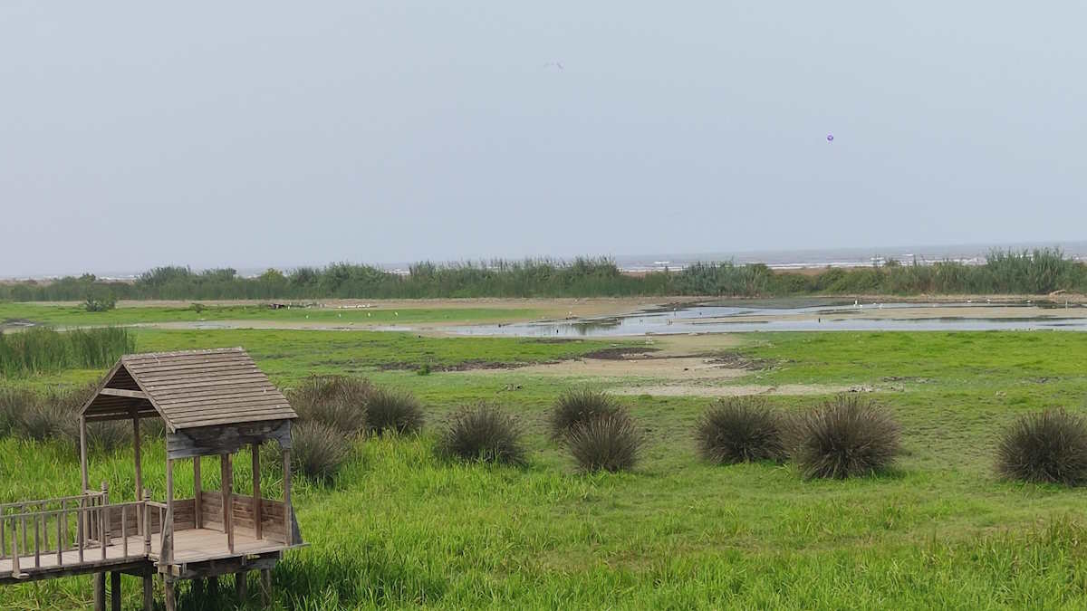 تالاب جوکندان کجاست؟