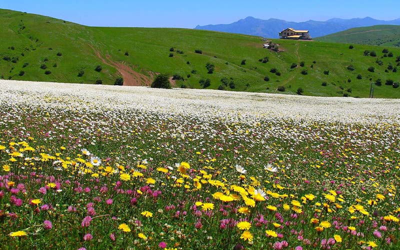دریاچه سوها کجاست؟ مسیر، فاصله از اردبیل و دیدنیهای اطراف