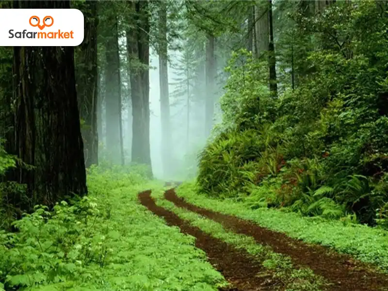 اجاره ويلا در گيسوم