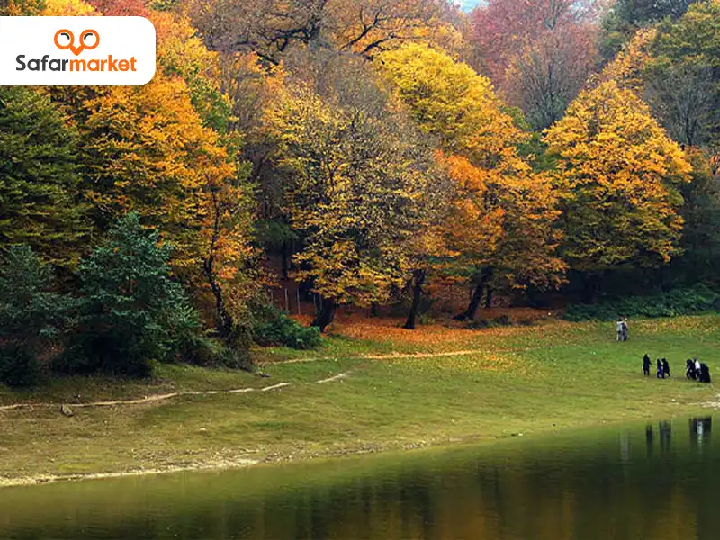 جنگل ناهارخوران گیلان