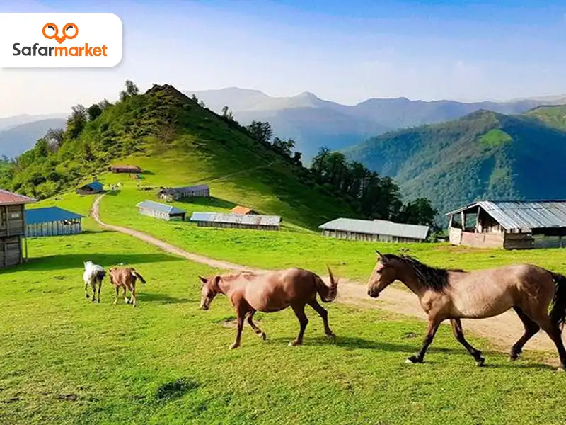 اجاره کلبه در ماسال از سفرمارکت